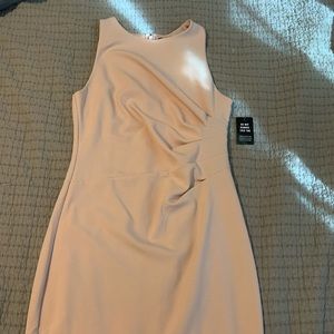 Pale Pink Express Ruche Work Dress